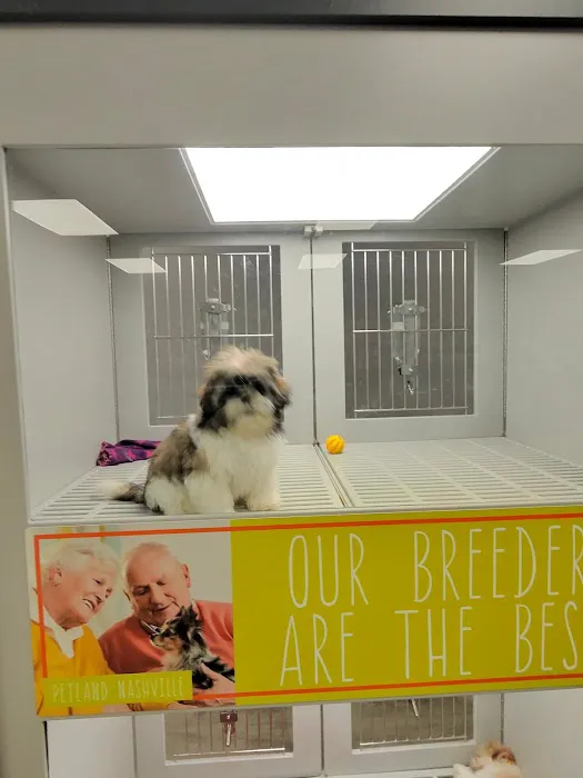 Petland Nashville Picture 5