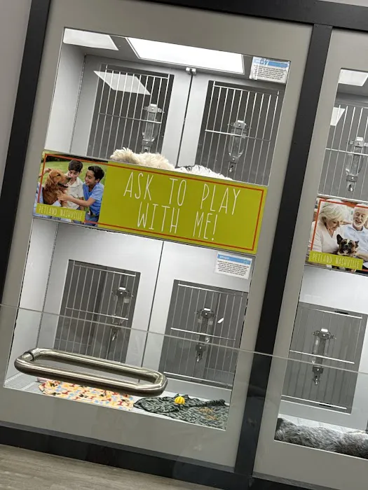 Petland Nashville Picture 7