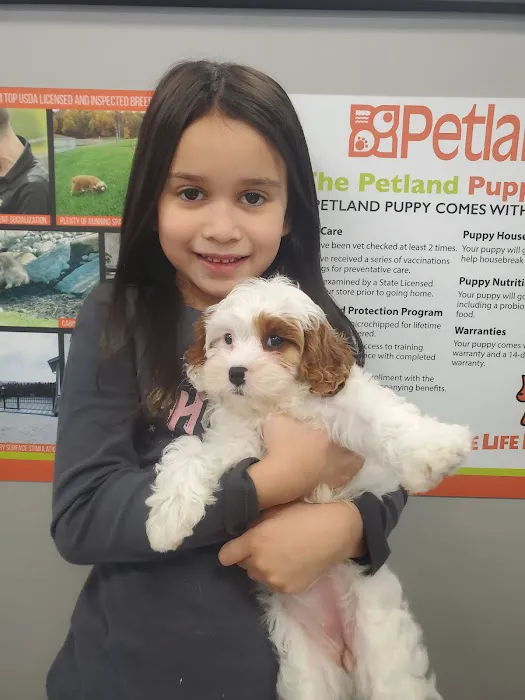 Petland Nashville Picture 10
