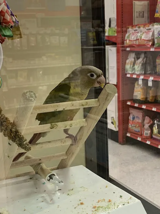 Petco Picture 5