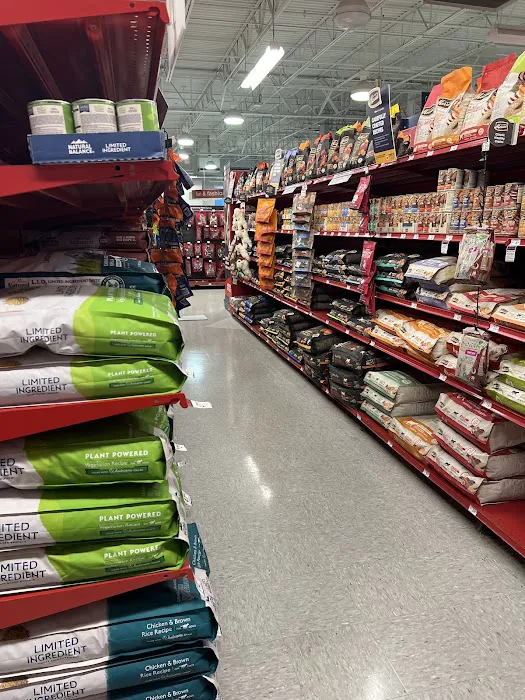 Petco Picture 4