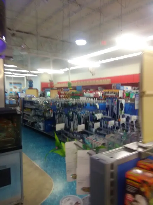 Petco Picture 8