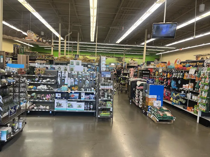 Petco Picture 4