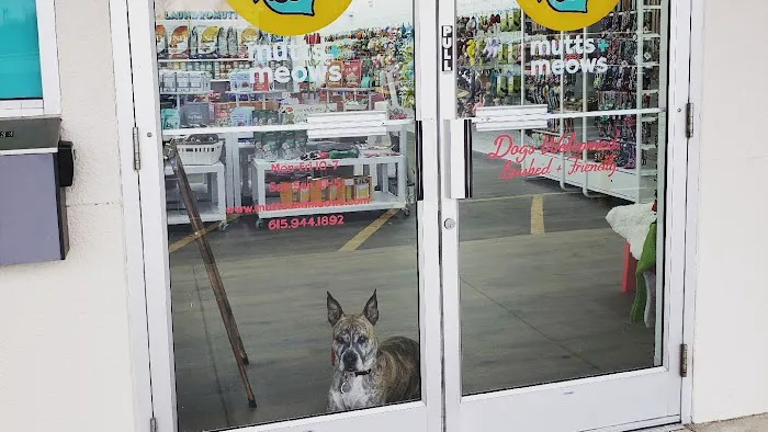The Holy Hound Picture 2