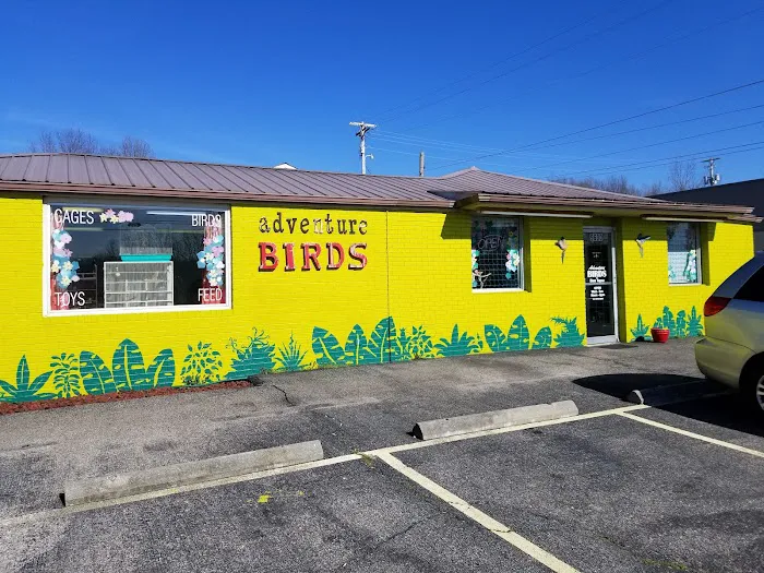 Adventure Birds of Bon Aqua Picture 2
