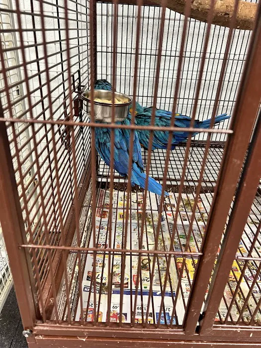 Adventure Birds of Bon Aqua Picture 6