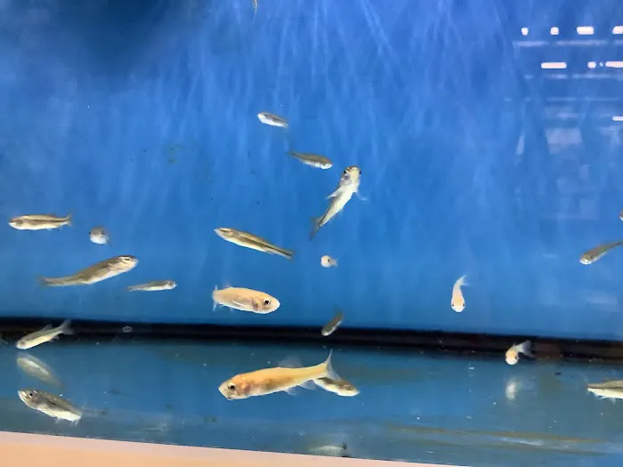 Black Pond Veterinary Service, Inc. Picture 1