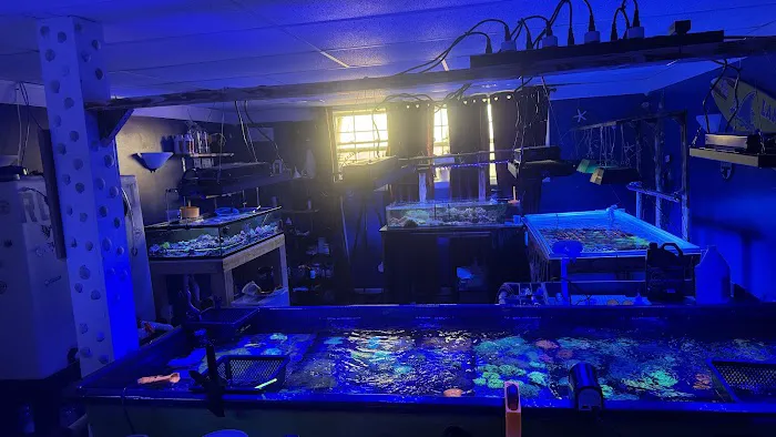 Danny Deez Corals LLC Picture 2
