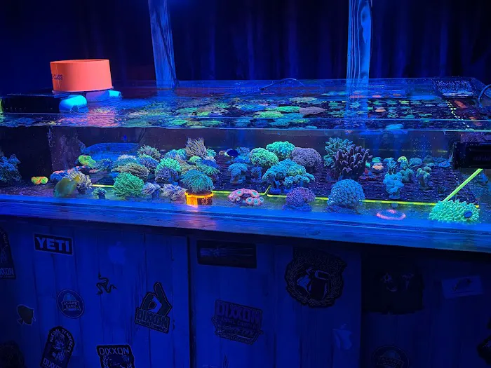 Danny Deez Corals LLC Picture 7