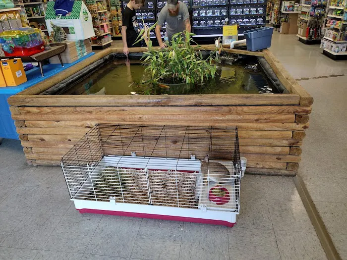 Franklin Aquarium Pet Shop Picture 3