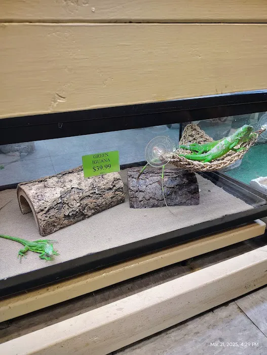 Franklin Aquarium Pet Shop Picture 8