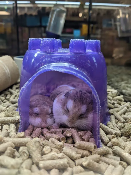 Franklin Aquarium Pet Shop Picture 9