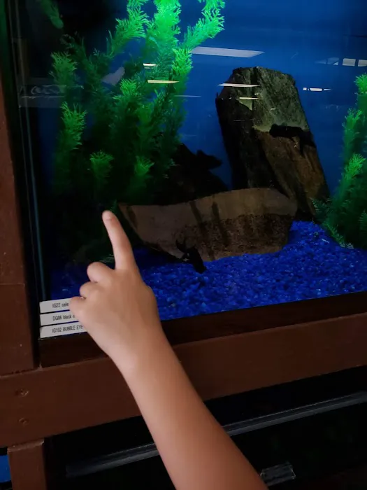 Franklin Aquarium Pet Shop Picture 4