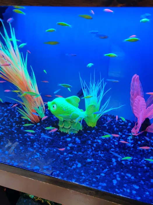 Franklin Aquarium Pet Shop Picture 7