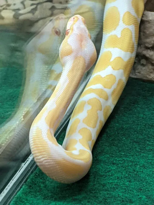 Franklin Aquarium Pet Shop Picture 6