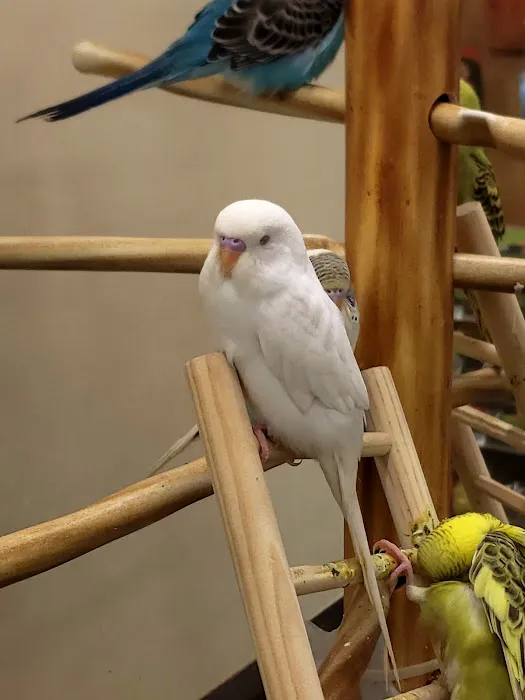 Petco Picture 2