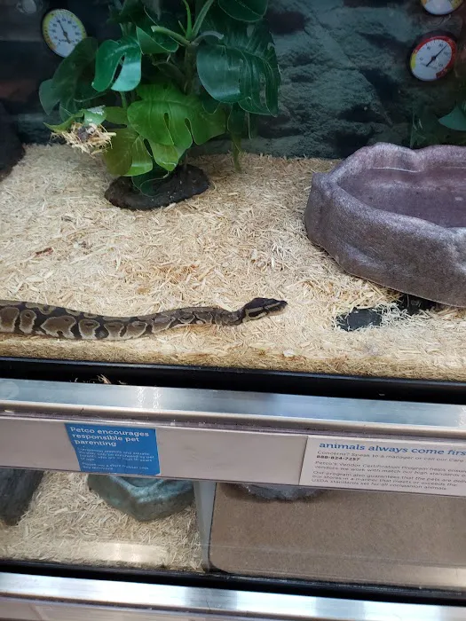 Petco Picture 7