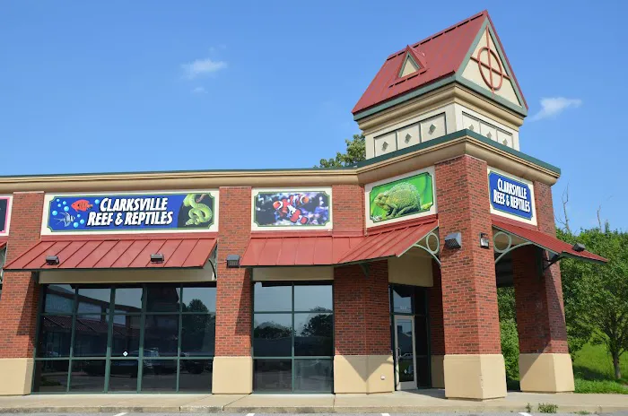 Clarksville Reef & Reptiles Picture 10