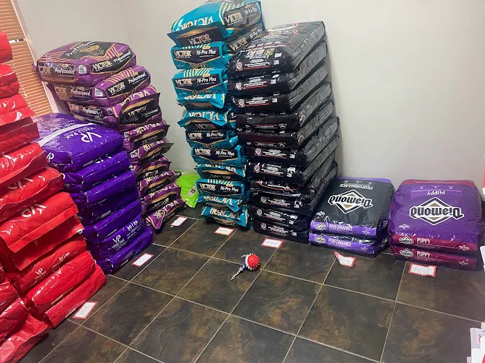 Xotic Pet Supplies Picture 2