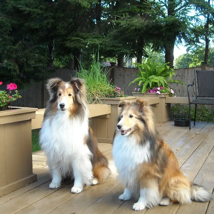 Berkshire Veterinary Hospital Picture 2