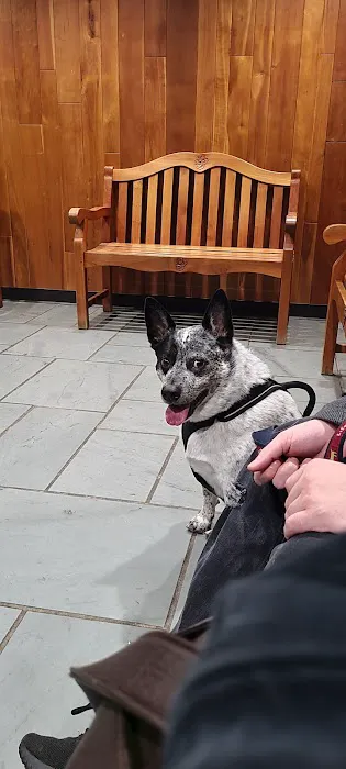 Berkshire Veterinary Hospital Picture 1