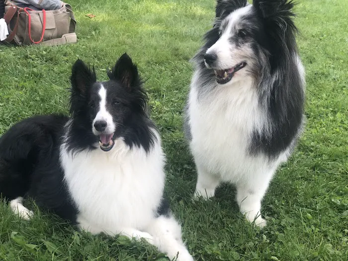 Berkshire Veterinary Hospital Picture 10