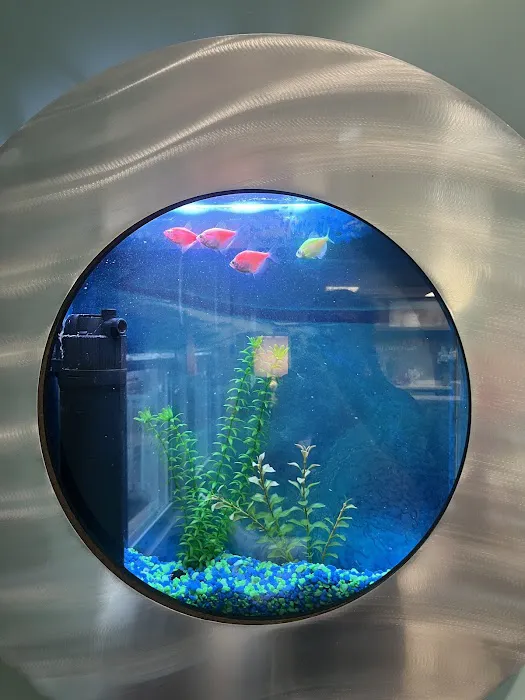 Aquatic Cove Aquarium Servicing Picture 2