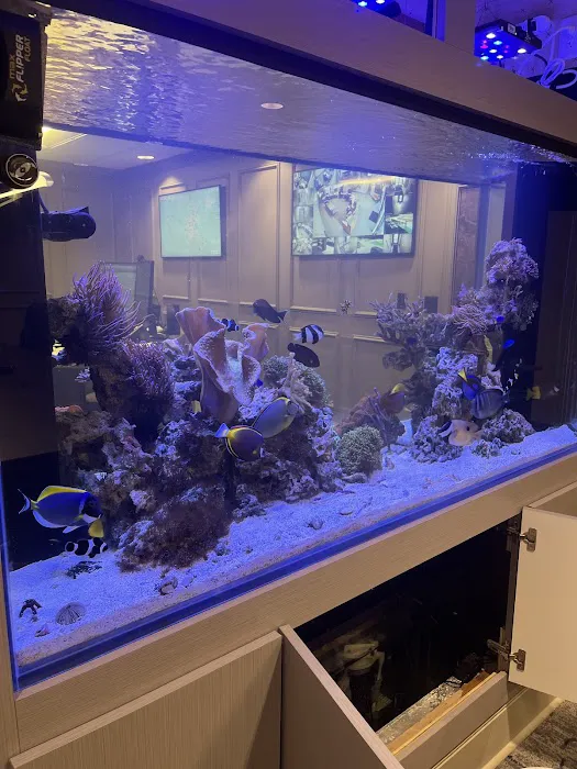 Aquatic Cove Aquarium Servicing Picture 7