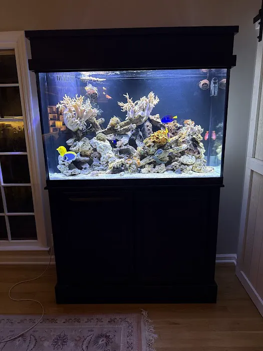Aquatic Cove Aquarium Servicing Picture 5