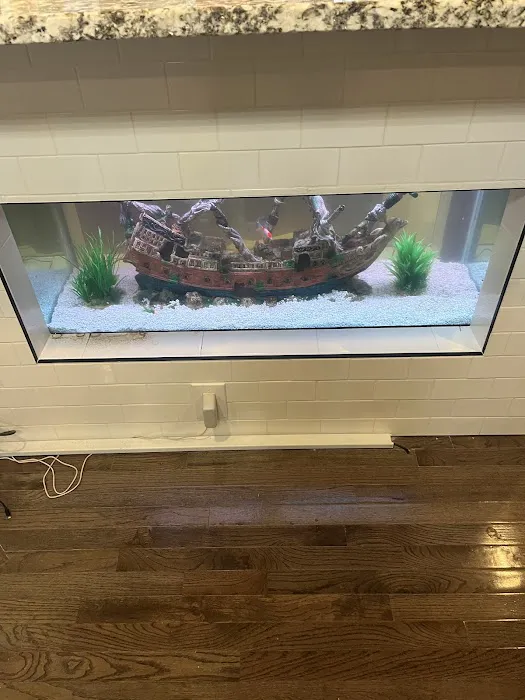 Aquatic Cove Aquarium Servicing Picture 6