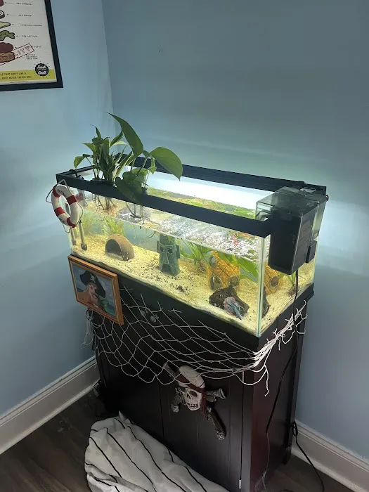Aquatic Cove Aquarium Servicing Picture 4