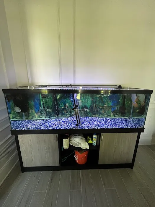 Aquatic Cove Aquarium Servicing Picture 9