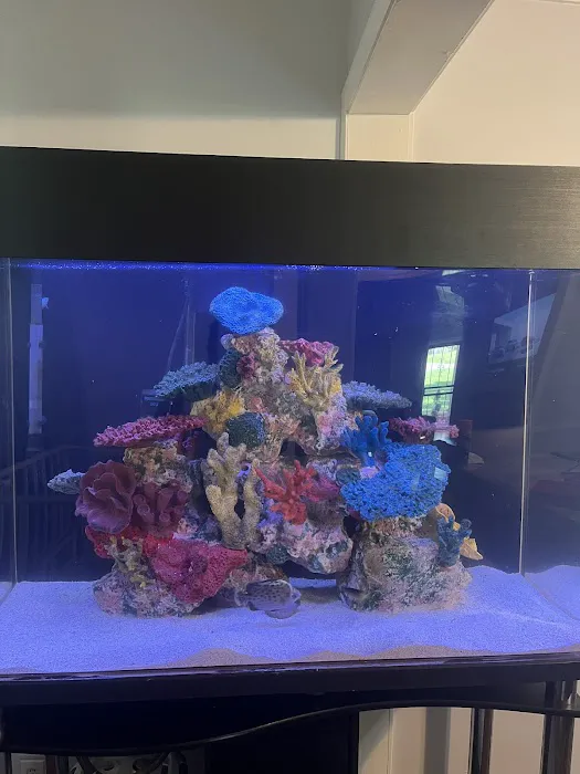 Aquatic Cove Aquarium Servicing Picture 8