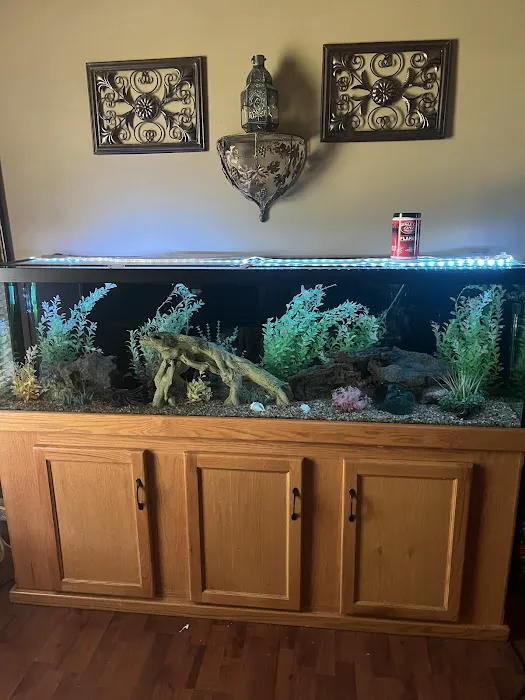Aquatic Cove Aquarium Servicing Picture 10