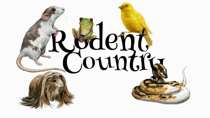 Rodent Country Pets Picture 2