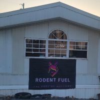 Rodent Fuel ico