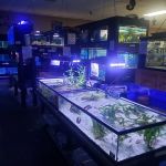 J & M Pet Land