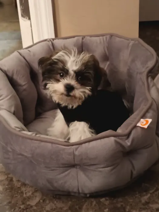 J & M Pet Land Picture 4