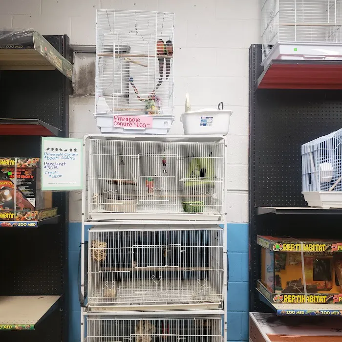 J & M Pet Land Picture 9