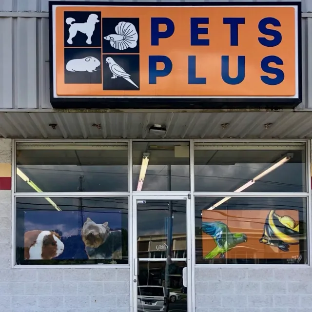 Pets Plus Picture 2