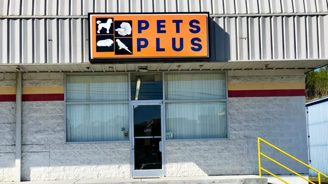 Pets Plus Picture 6