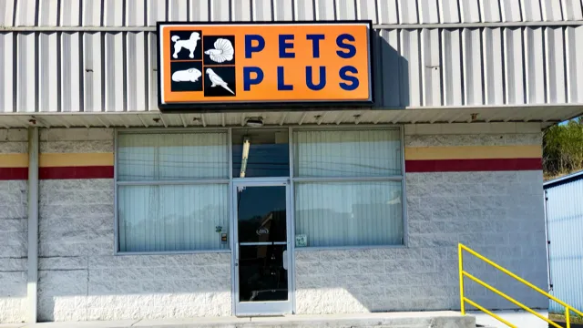 Pets Plus Picture 9