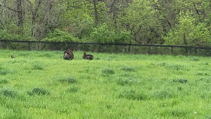 Chathams Small Animal Hospital Picture 8