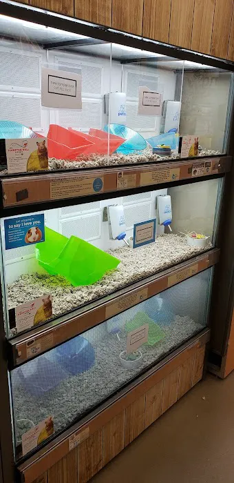 Petco Picture 1