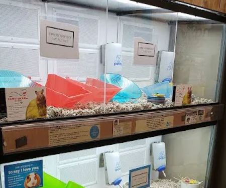 Petco