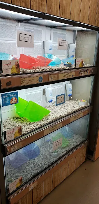 Petco Picture 4