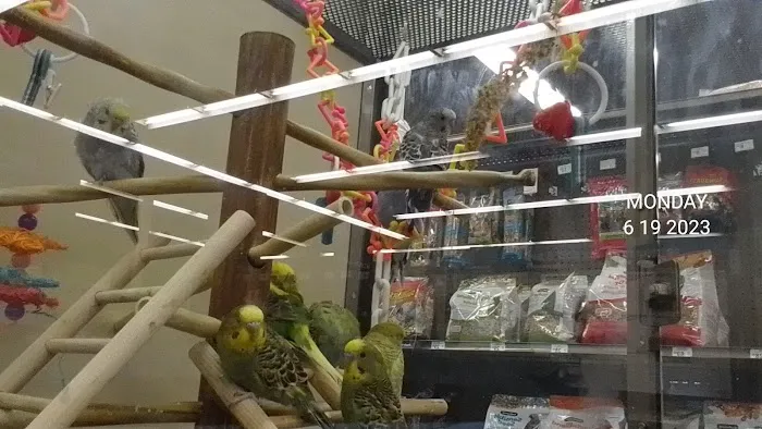 Petco Picture 9