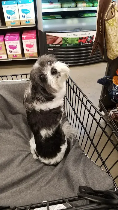 Petco Picture 7