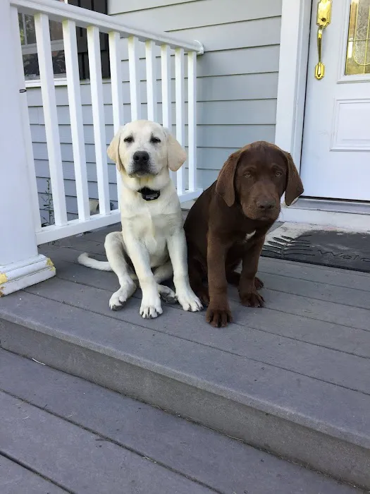 Kinderhook Animal Hospital Picture 10