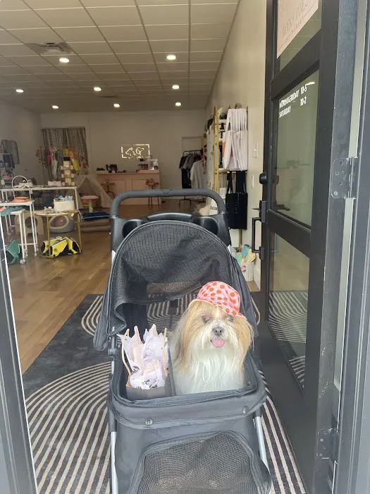 Rocky Jane's Pet Market Picture 2